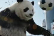 中国人「サッカーW杯　中国が日本と惜しくも引き分け！中国U15 1-1 日本U15」　中国人「日本と互角に戦っていた」「未来に希望が見えた」