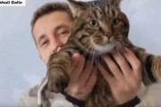 愛するペットのためなら40万マイルも痛くない？愛され猫の空の旅