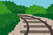 「この世にパーフェクトな旅なんて存在…した！」フィンランドの癒される列車風景