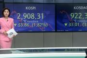 韓国メディア「株価は急落し、急激なウォン安ドル高が進み ... "借金投資時代" は終わりを告げるか」韓国の反応