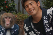 韓国人「日本人を卑下する時に “サル” と呼ぶ理由が衝撃的だった…！」「実際彼らには○○が見られません」