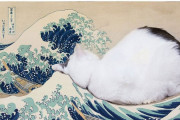 海外「欲しい！」日本の猫の爪とぎに海外興味津々！（海外の反応）