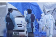 新型コロナウイルス、最も大きな打撃を受けるのは韓国と日本　海外アナリスト　海外の反応