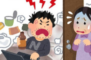 韓国人「西洋にひきこもりっているの？」「……いないわけないだろう」