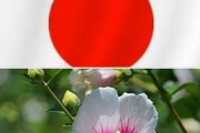 【悲報】韓国人「韓国の国花「ムクゲの花」は、日本極右団体「日本会議」の象徴だった‥徽章、会員証全てがムクゲの花」　韓国の反応