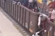 海外「なんこれ？」 メキシコからアメリカ国境へと向かう民度の低そうな移民列車