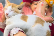 生誕祭のお祭りの中、ガネーシャの像の腕の中で眠る子猫がかわいい（インド）