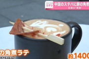 【衝撃】韓国人「中国ではOKなのに、キムチラテはなぜ却下される？」