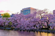 韓国人「韓国人が『日本旅行に行く前に』物凄く感動した出来事がこちらです‥（ﾌﾞﾙﾌﾞﾙ」　韓国の反応
