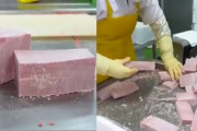 外国人さん、日本のマグロの加工場に衝撃「材木みたいだった」