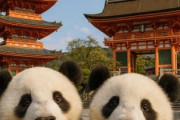 中国人「中国には、京都のこの景色のような歩行街はある？」　中国人「あるぜ！」「中国にも小京都があるよ！」