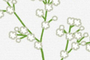 海外「日本人の発想はやはり素敵すぎる」とある日本人が身近な植物を素晴らしい芸術に進化させた結果が凄いと話題に