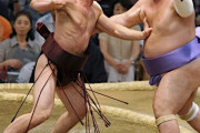 海外総合格闘技ファン「日本のビッグボーイレスリング、相撲の妙技を見てみよう」