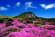 韓国人「日本の自然景観は韓国より優れているのですか？」→「日本にはそんな素晴らしい場所があるの？」　韓国の反応
