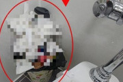 【便器に紙を流せVS流すな】韓国でトイレ議論！公衆トイレのゴミ箱がゴミで溢れ、夏には悪臭‥トイレにゴミ箱を置くしかない理由とは？　韓国反応