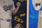 【初公開】8月29日配布の大谷翔平＆デコピン、ボブルヘッド人形