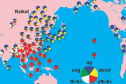 韓国人「日本人は韓国人と人種的にほとんど同じですか？」→「日本人は韓国人の親戚でしょう」　韓国の反応