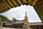 韓国人「もう制御不能だ」コロナ19の新規患者31人を追加、韓国で感染確定者は合計82人