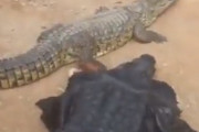 長生きしない男性の行動がこちらｗｗｗｗｗｗｗｗｗｗｗ