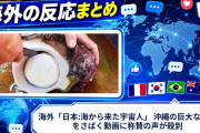 海外「日本:海から来た宇宙人」 沖縄の巨大な巻貝をさばく動画に称賛の声が殺到