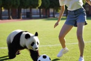 サッカー日本代表、国際親善試合でガーナに2-0で快勝！　中国人「日本は世界の強豪」「日本の試合は観ていて至福」
