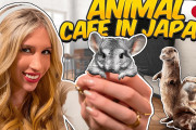 外国人「日本の動物カフェ行ってみたよ。マジで可愛いわｗｗｗ」