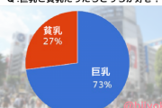 中国人「日本人が貧乳好きというのは嘘だった…」　中国の反応