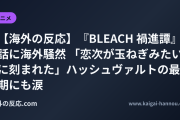 【海外の反応】『BLEACH 禍進譚』6話に海外騒然 「恋次が玉ねぎみたいに刻まれた」ハッシュヴァルトの最期にも涙