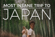 京都から、ディズニーシーまで！家族で大はしゃぎの日本旅行！