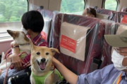 【韓国の反応】「愛犬にも自由を」日本、新幹線でペット専用車両を試験運行…韓国の反応「日本が羨ましい。/日本は列車の便が多いから可能。」