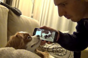 「何の音？！」イビキをかいて眠る愛犬に、イビキをかく様子を撮影した動画を聞かせてみたら反応がヤバかった。