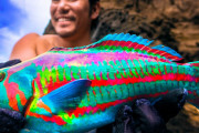 「こんな魚見たことない！」日本の海で危険な釣りに挑んだ2人が釣り上げたのは…？