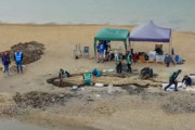 世紀の大発見？！ イギリスで見つかった1億年以上前に生息していた魚竜の化石が大きすぎてびっくり