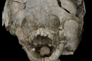 【ホラー】「子供の人肉付き頭蓋骨」をかぶった別の子供の遺骨が発掘され、考古学者も愕然