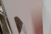 日本のコストコが時代の変換期を迎えたぞ！←「日本で唯一の場所だったのに・・・」（海外の反応）