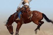 【ムラムラ禁止】激しいロデオマシンで美女が魅せる驚異のバランス技が凄すぎる！海外の反応