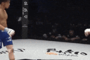 【GIF】韓国人「日本柔道と韓国テコンドーが本気で戦った結果がこちら」→「一方的にボコボコにされますね」　韓国の反応