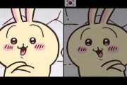 外国人「日本と韓国のちいかわを比較した結果ｗｗｗｗｗｗｗ」
