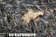 日本の鰻はなぜ高い？その理由を解説⁉ 外国人「めちゃくちゃ美味しいから需要があるのはしゃーない」