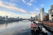 韓国人「日本の都心の河川を見てみよう」