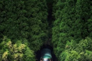 海外「これはまさに”文明と自然との融合”だね」世界中のどこを探しても日本の景色に敵う場所はないね！