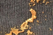 外国人「チョコレートのシミが日本そっくりなので見てくれ！」