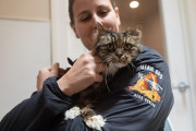 【海外】「ブライスキャニオンから380フィートの落下を生き延びた猫、救助したパイロットに養子縁組される！」
