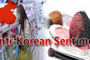 【悲報】韓国人「中国で嫌韓感情が爆発！」中国人が「韓国はアメリカの犬」「南朝鮮」と韓国を煽りまくり、韓国でも反中感情が深刻な状態に　韓国の反応