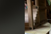 ある動物が祀られている日本の珍しい神社に世界が騒然！←「ここに行きたい」（海外の反応）