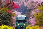 韓国人「ため息が出るほど美しい日本の写真を見てみよう」