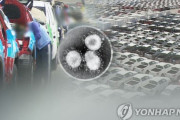 韓国人「韓国はフィリピンにも劣る国に成るのか‥」韓国、最悪の場合0％台の成長　韓国の反応