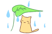 日本の雨宿りするネコが奇跡的だった【タイ人の反応】