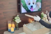 【脱北者が韓国の文化に驚愕】"犬の葬儀なんてあるの!?"→韓国人「いや俺たちも驚いたわwwww」