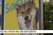 【韓国反日派】親日派が「日本は竹島侵略しない」と思う理由を考えてみた